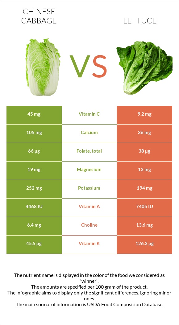 Chinese cabbage vs Lettuce infographic