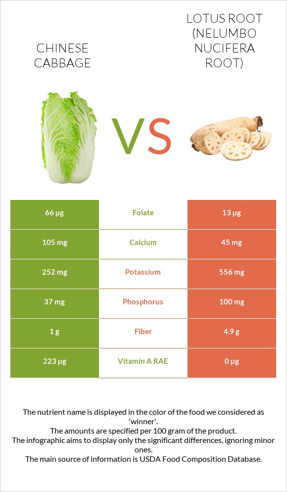 Chinese cabbage vs Lotus root infographic
