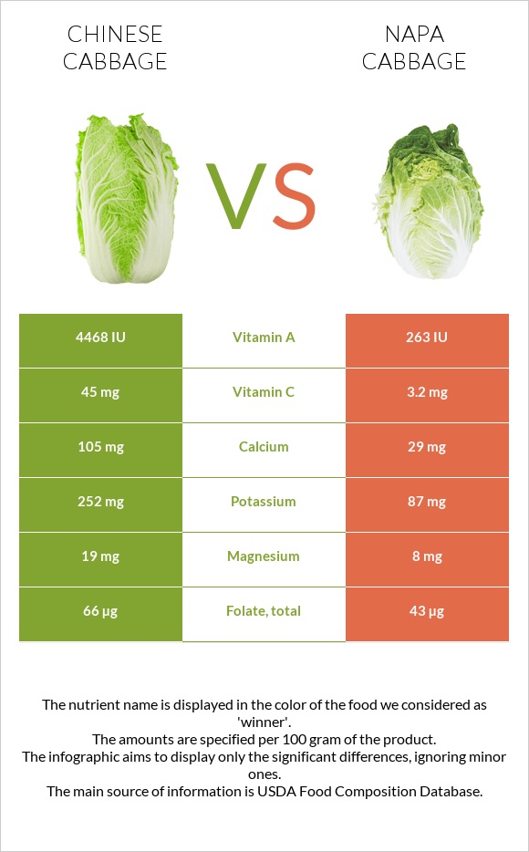Chinese cabbage vs Napa cabbage infographic