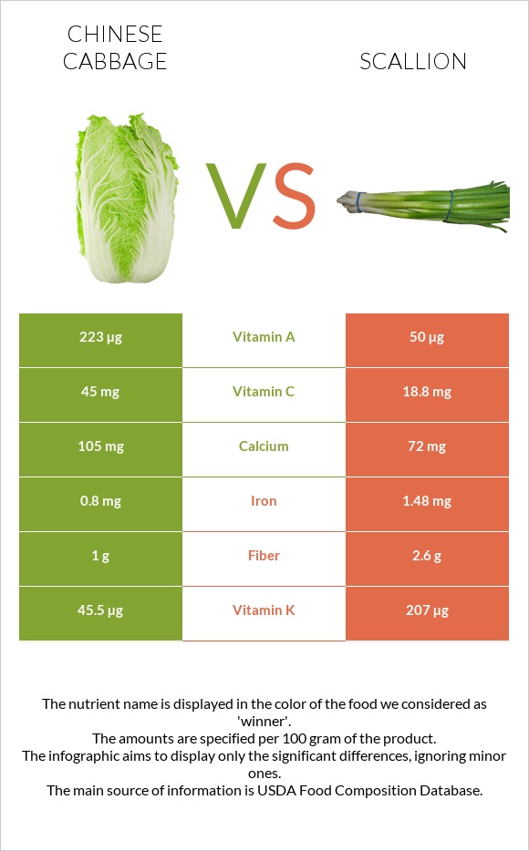 Chinese cabbage vs Scallion infographic