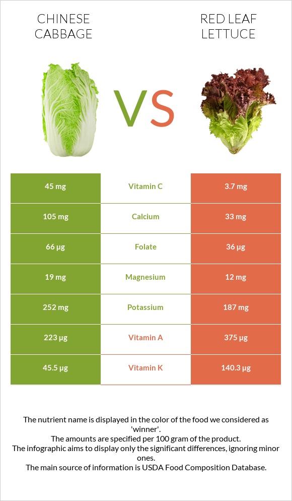 Chinese cabbage vs Red leaf lettuce infographic