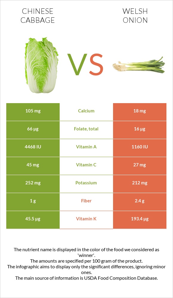 Chinese cabbage vs Welsh onion infographic