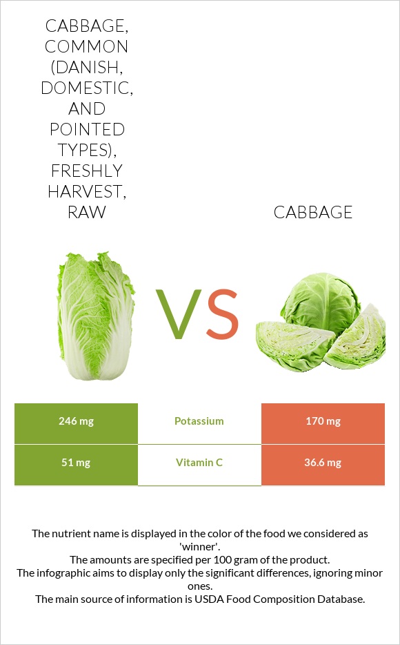 Cabbage, common (danish, domestic, and pointed types), freshly harvest, raw vs Կաղամբ infographic