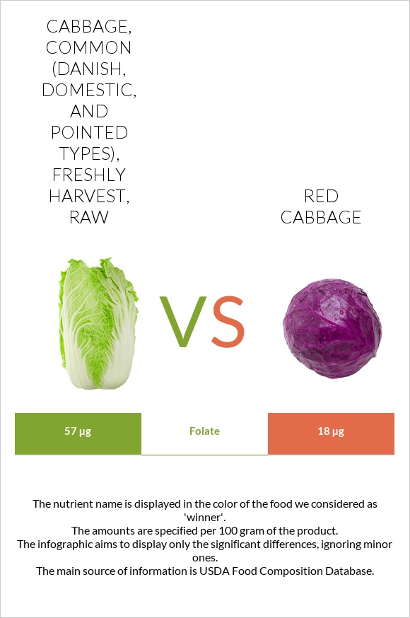 Cabbage, common (danish, domestic, and pointed types), freshly harvest, raw vs Red cabbage infographic