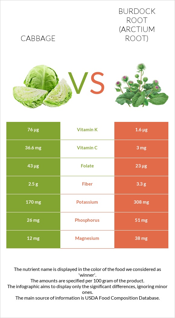 Cabbage vs Burdock root infographic