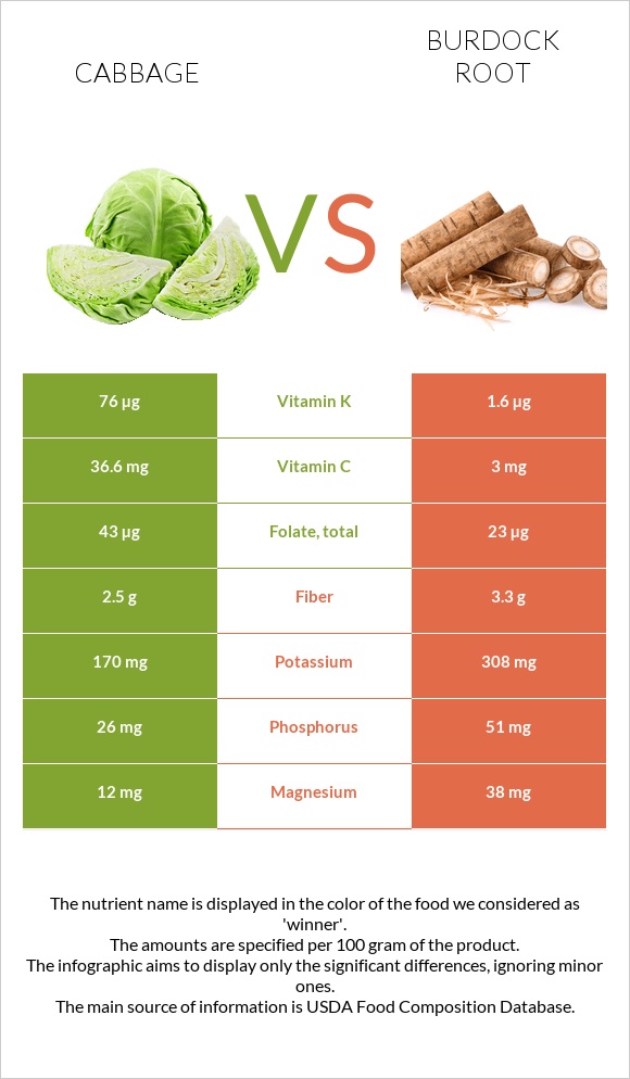 Cabbage vs Burdock root infographic