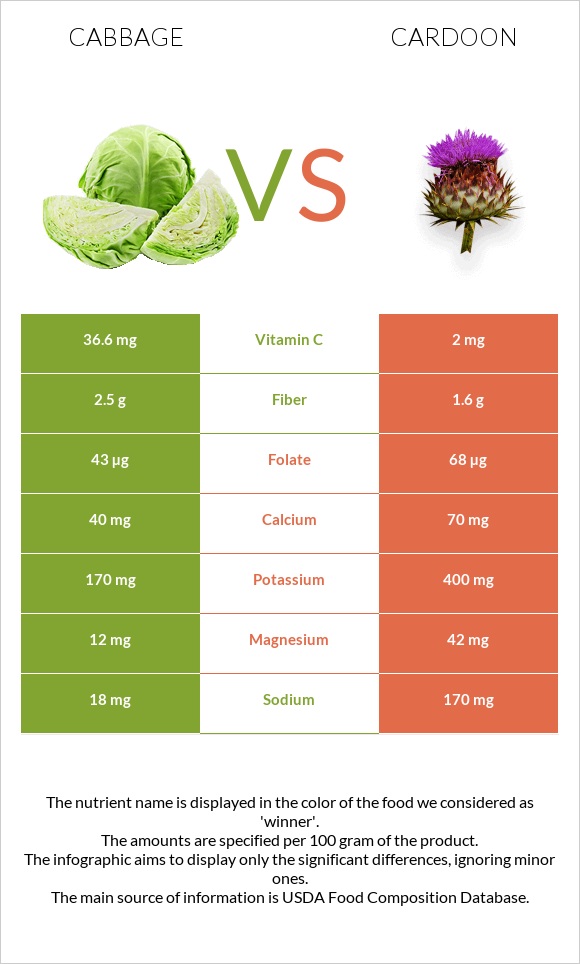 Cabbage vs Cardoon infographic
