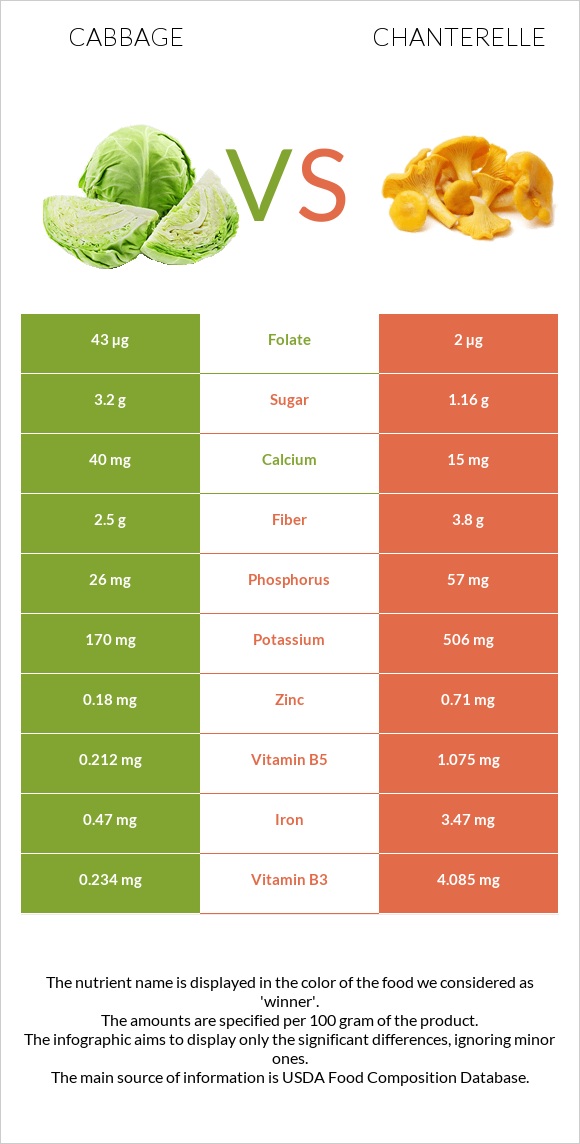 Cabbage vs Chanterelle infographic