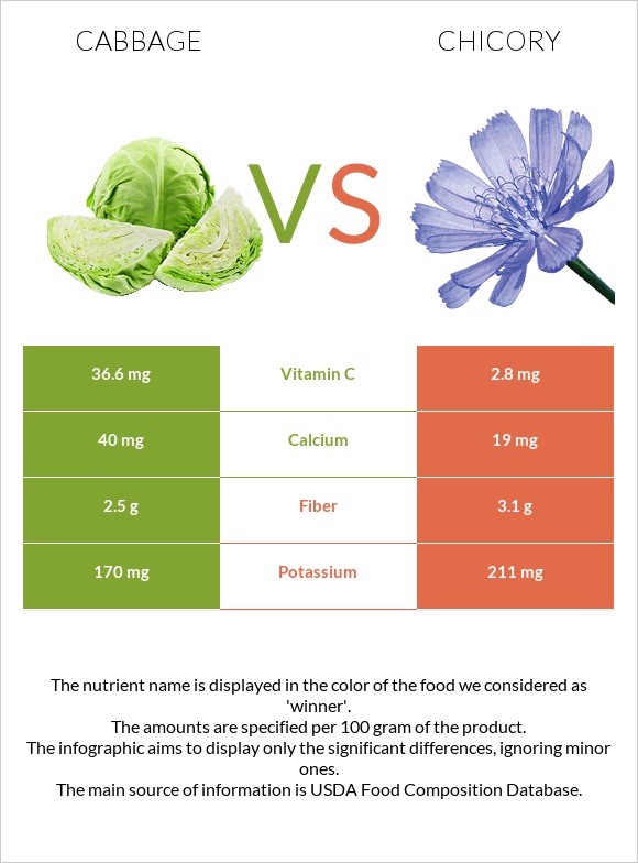 Cabbage vs Chicory infographic