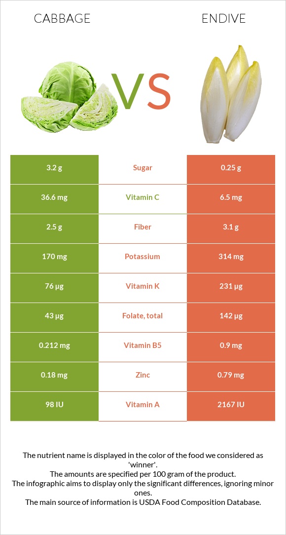 Cabbage vs Endive infographic