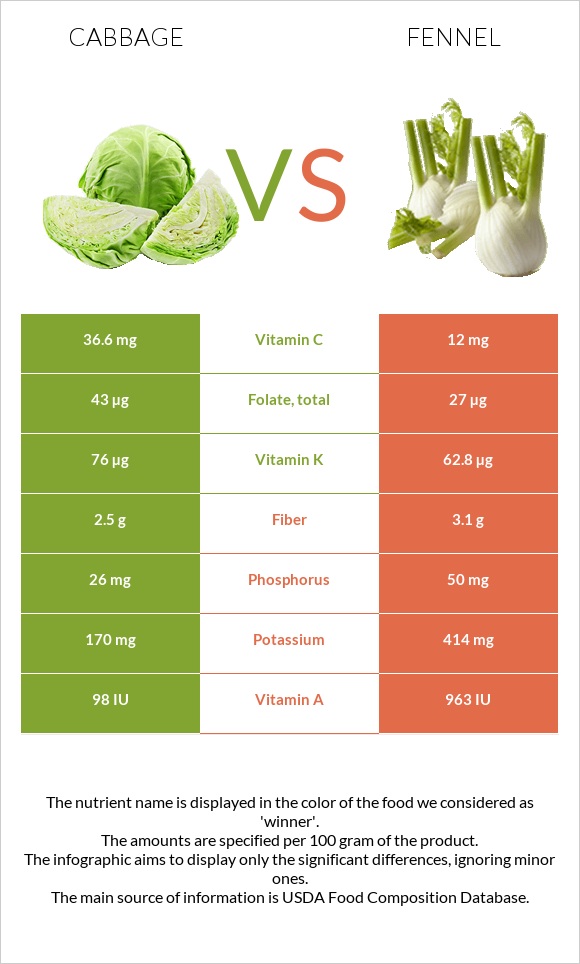 Cabbage vs Fennel infographic