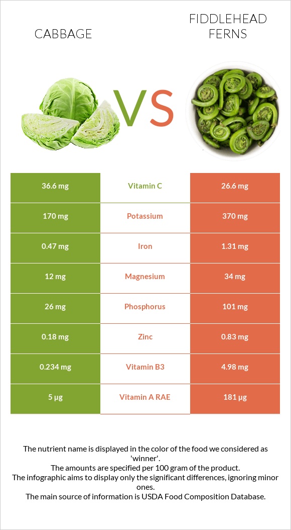 Cabbage vs Fiddlehead ferns infographic