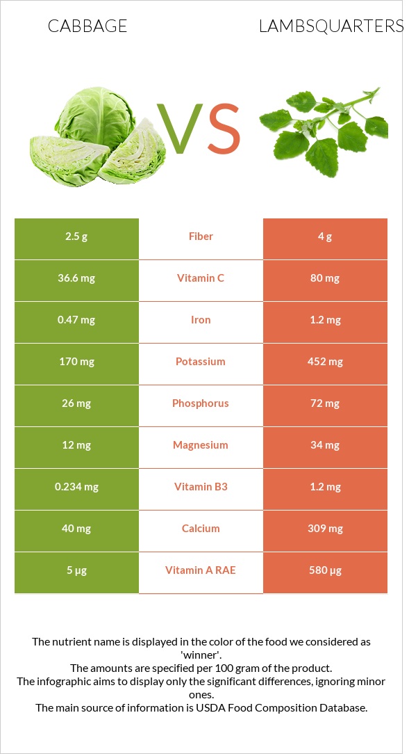 Cabbage vs Lambsquarters infographic
