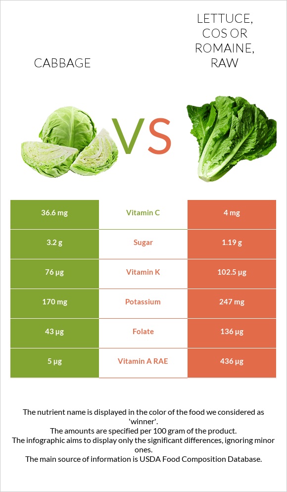 Cabbage vs Lettuce, cos or romaine, raw infographic