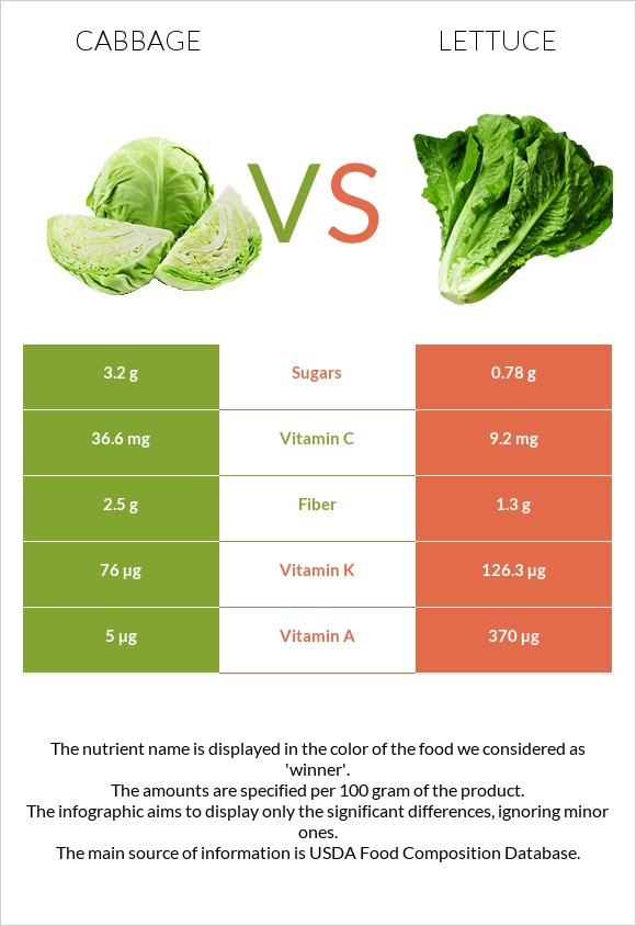 Cabbage vs Lettuce infographic