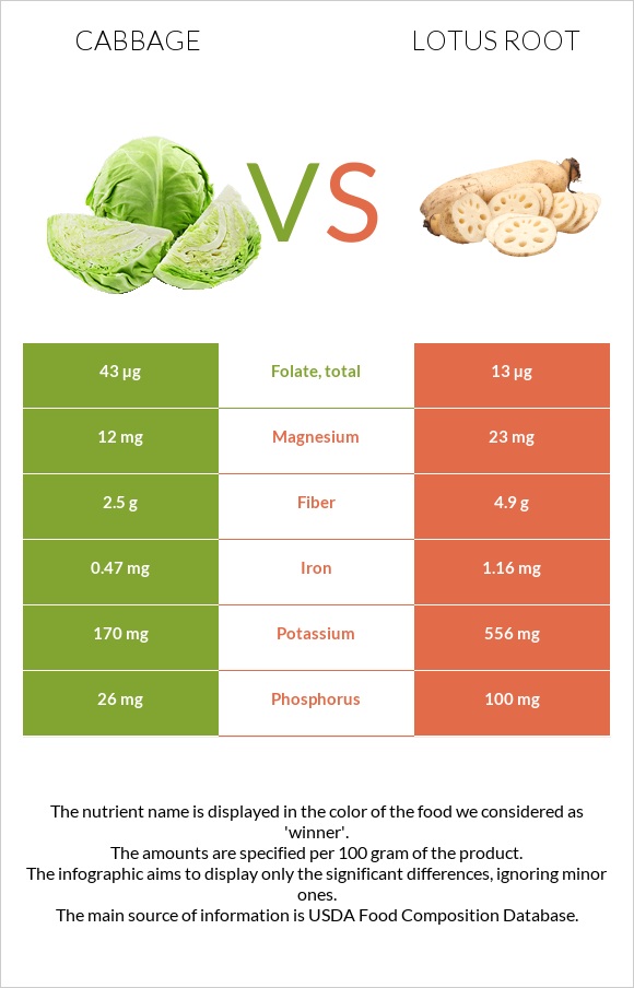 Cabbage vs Lotus root infographic