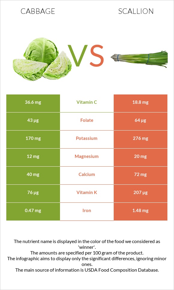 Cabbage vs Scallion infographic