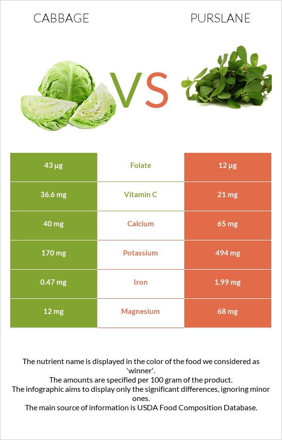Cabbage vs Purslane infographic
