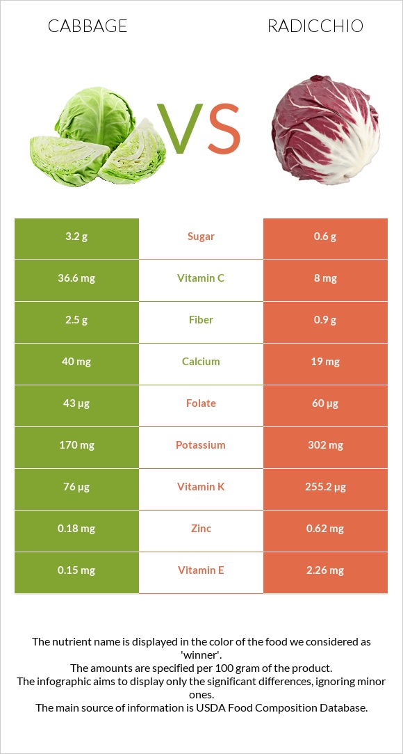 Cabbage vs Radicchio infographic