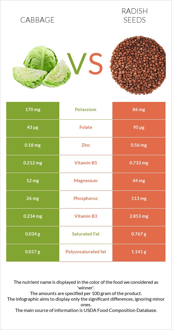 Կաղամբ vs Radish seeds infographic