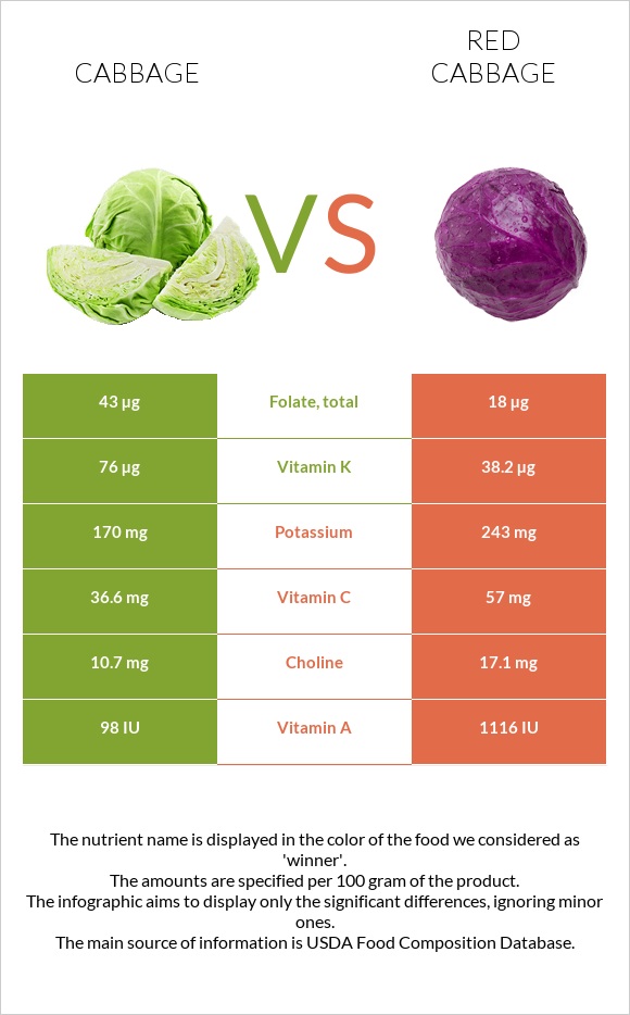 Cabbage vs Red cabbage infographic