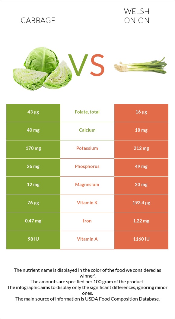 Cabbage vs Welsh onion infographic