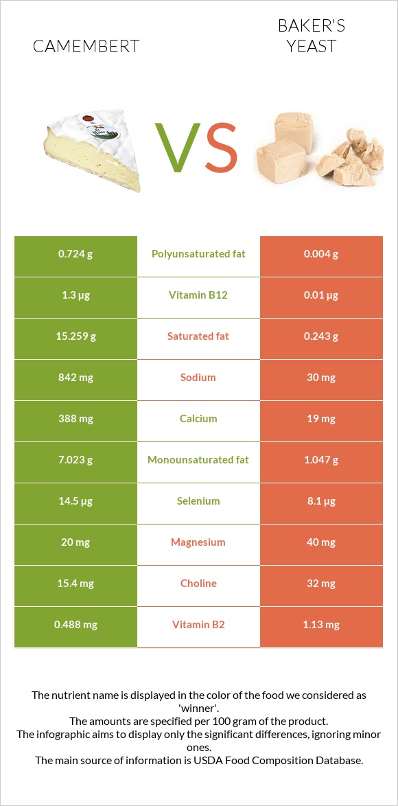 Camembert vs Baker's yeast infographic