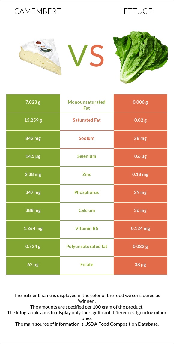 Camembert vs Lettuce infographic