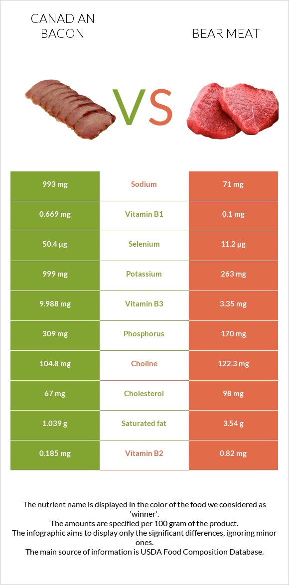 Կանադական բեկոն vs Bear meat infographic