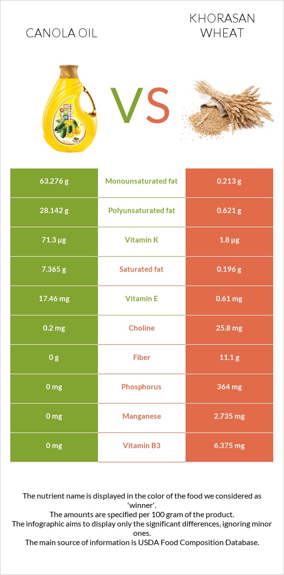 Canola oil vs Khorasan wheat infographic