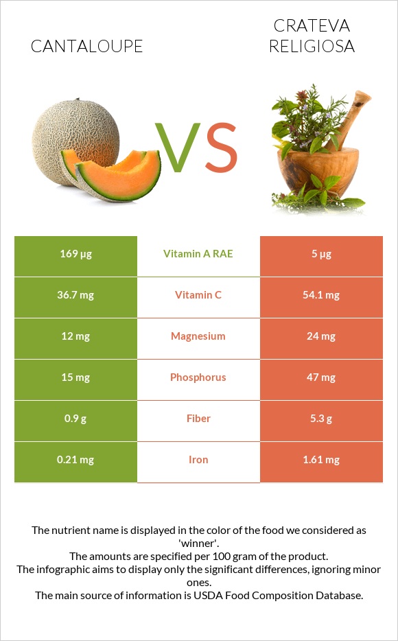 Cantaloupe vs Crateva religiosa infographic