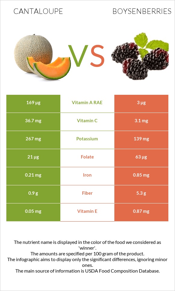 Cantaloupe vs Boysenberries infographic