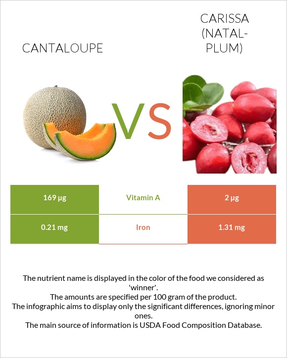 Cantaloupe vs Carissa (natal-plum) infographic