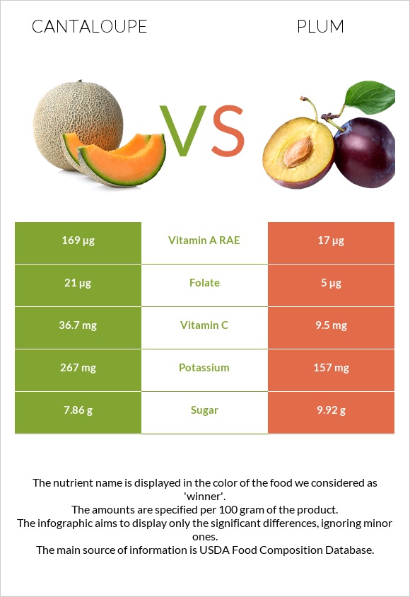 Cantaloupe vs Plum infographic