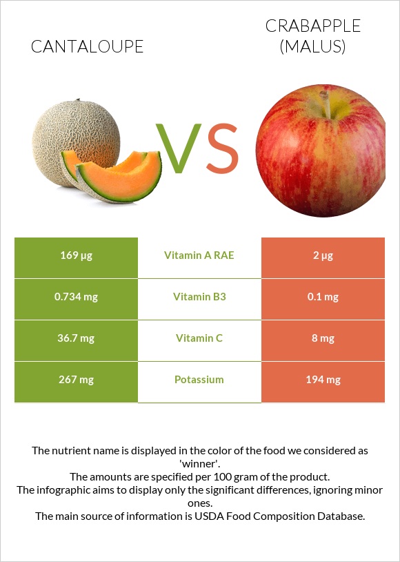 Cantaloupe vs Crabapple (Malus) infographic