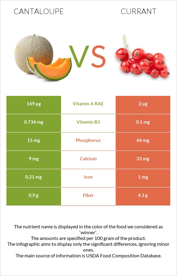 Cantaloupe vs Currant infographic