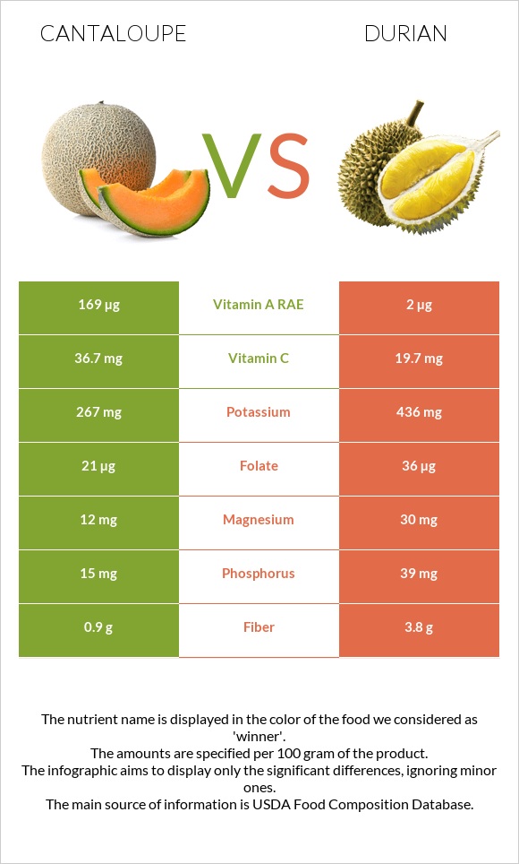 Cantaloupe vs Durian infographic