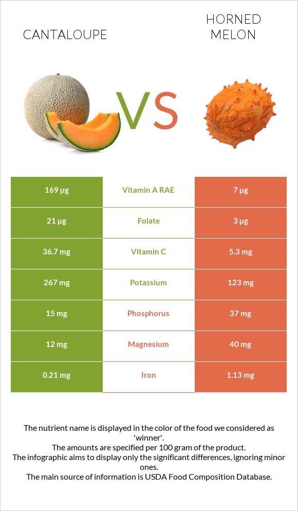 Cantaloupe vs Horned melon infographic