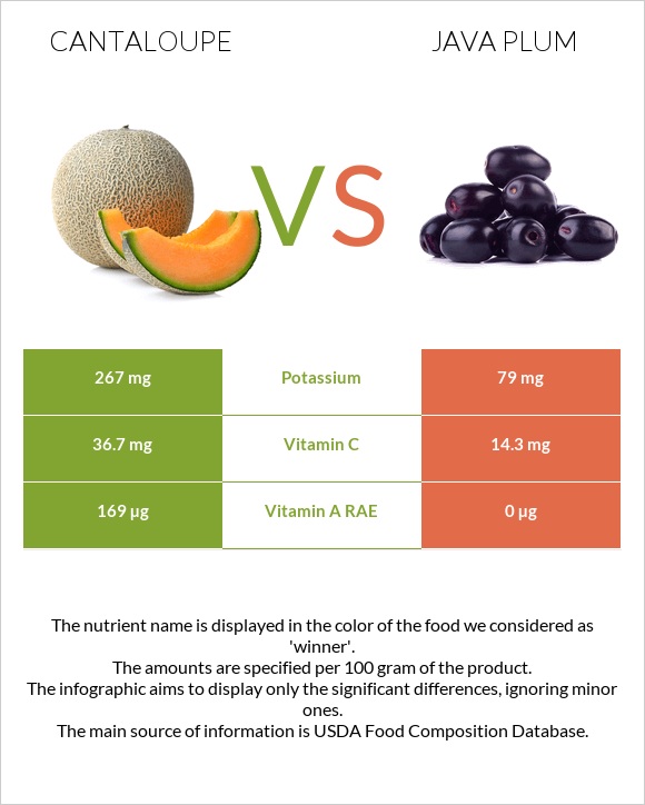 Cantaloupe vs Java plum infographic