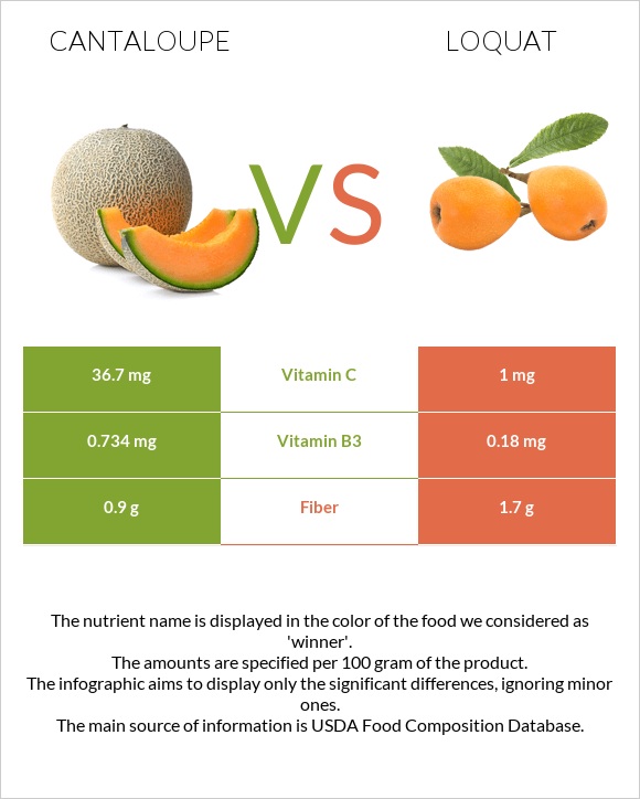 Cantaloupe vs Loquat infographic