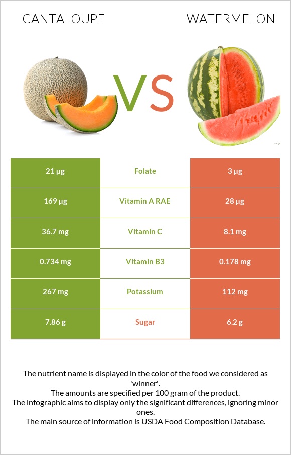 Cantaloupe vs Watermelon infographic