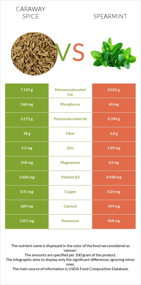 Caraway spice vs Spearmint infographic