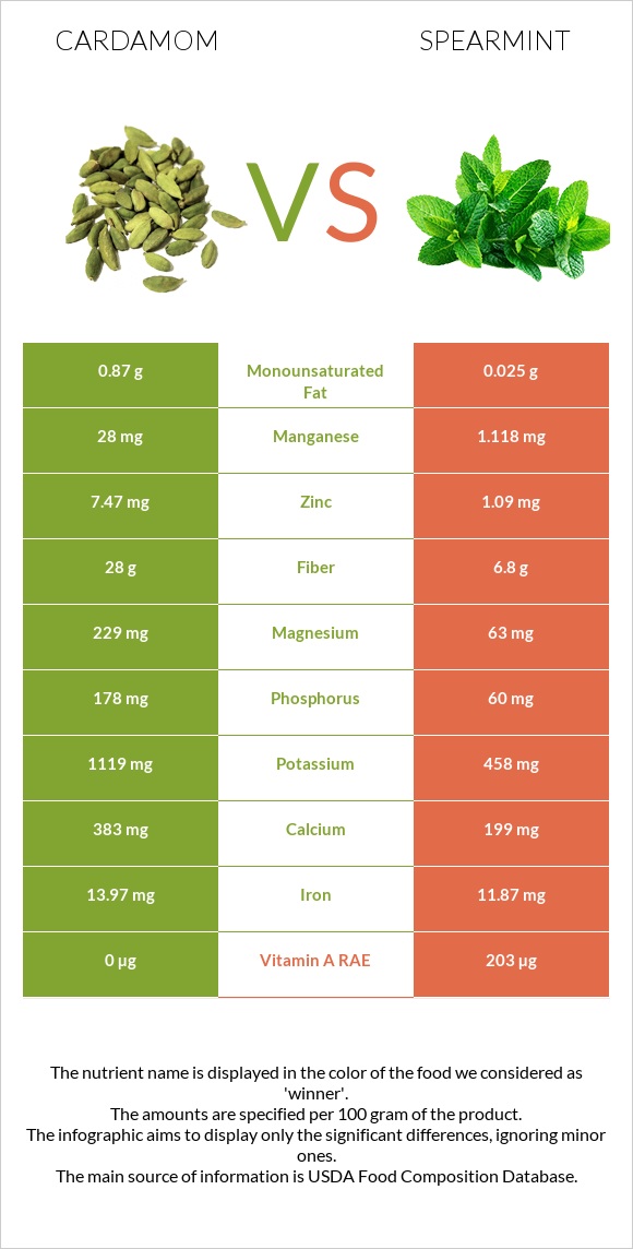 Cardamom vs Spearmint infographic