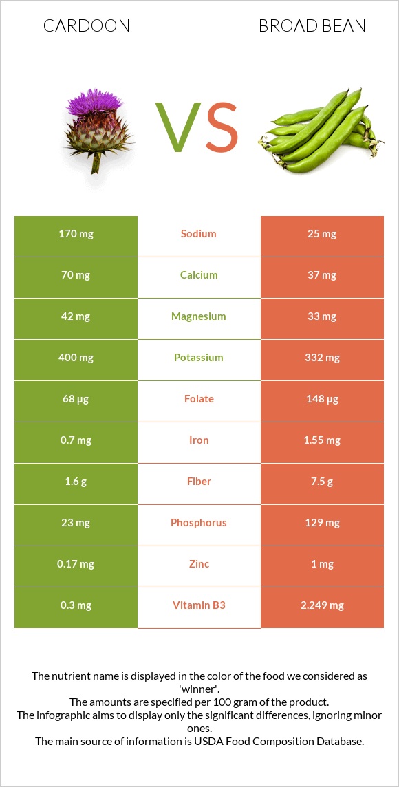 Cardoon vs Broad bean infographic