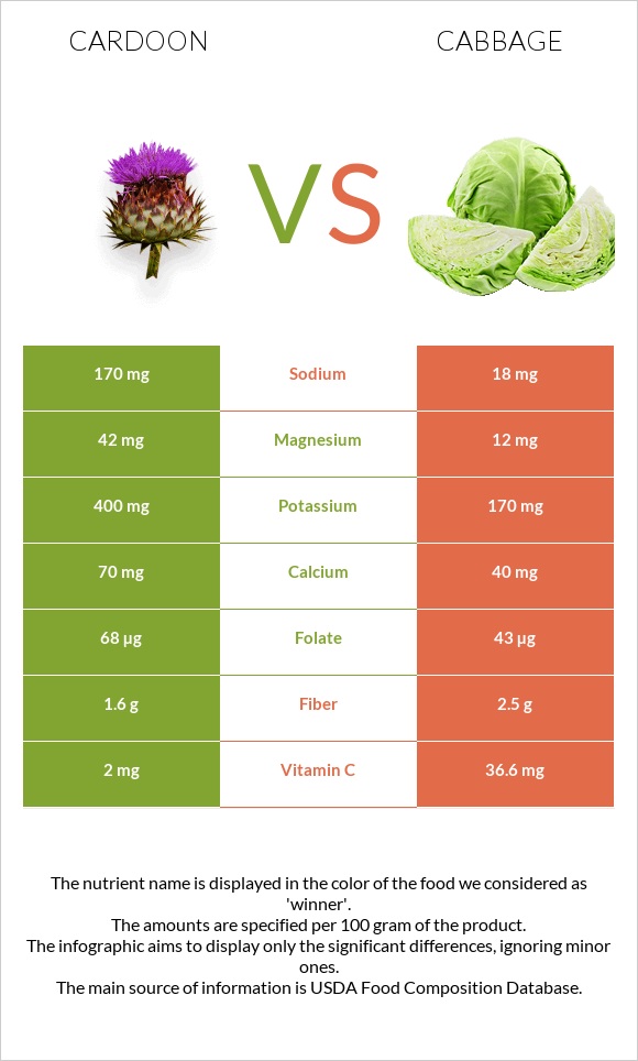 Cardoon vs Cabbage infographic