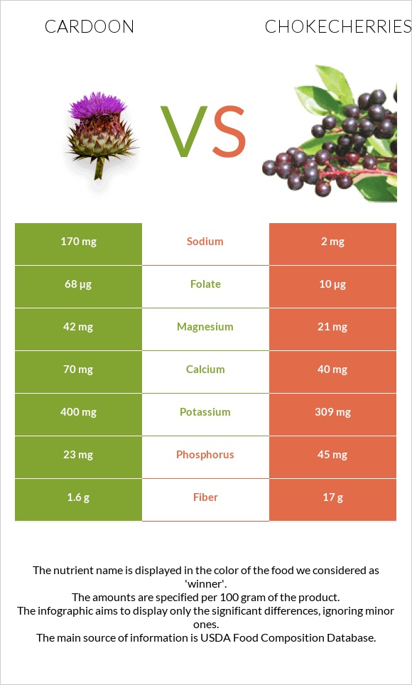 Cardoon vs Chokecherries infographic