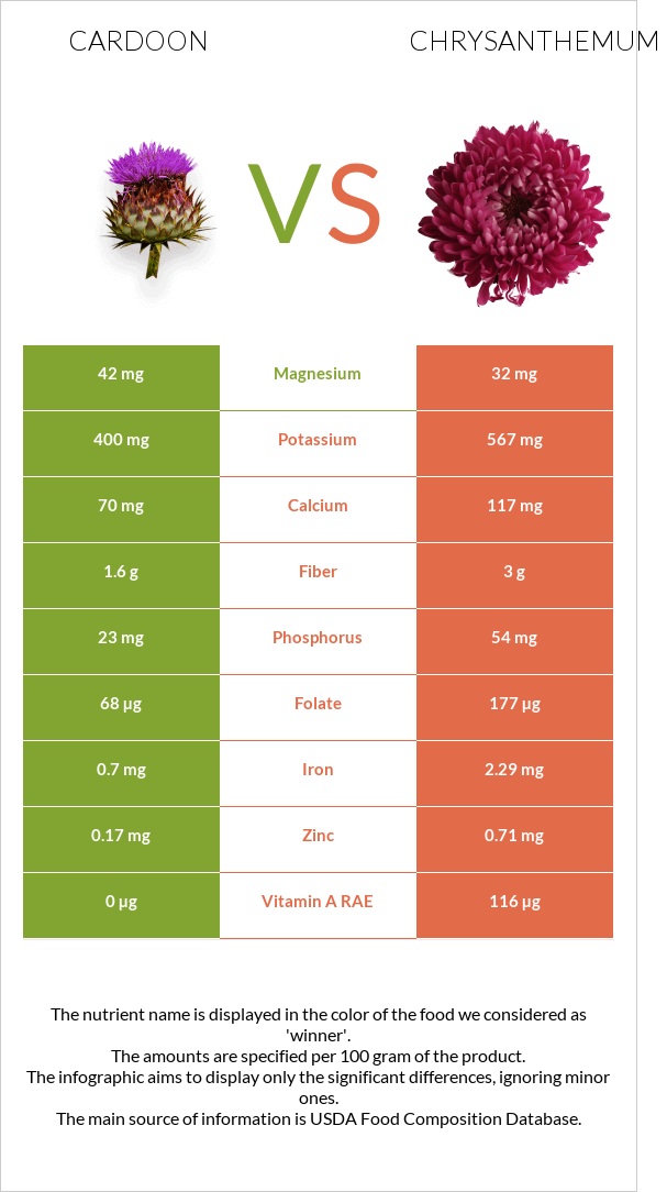 Cardoon vs Chrysanthemum infographic