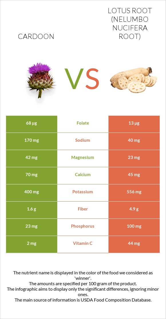 Cardoon vs Lotus root infographic