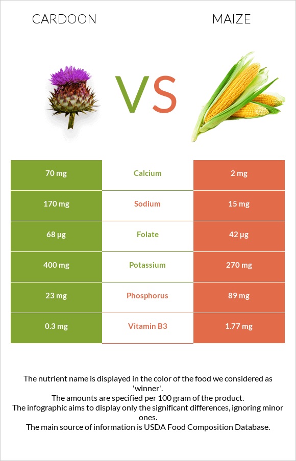 Cardoon vs Corn infographic