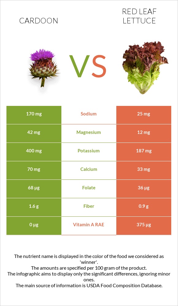 Cardoon vs Red leaf lettuce infographic